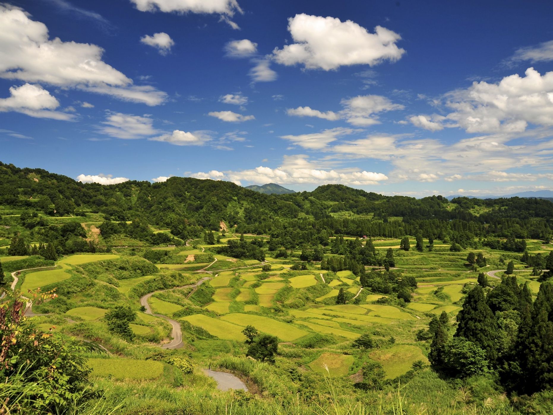 星峠の棚田／十日町市