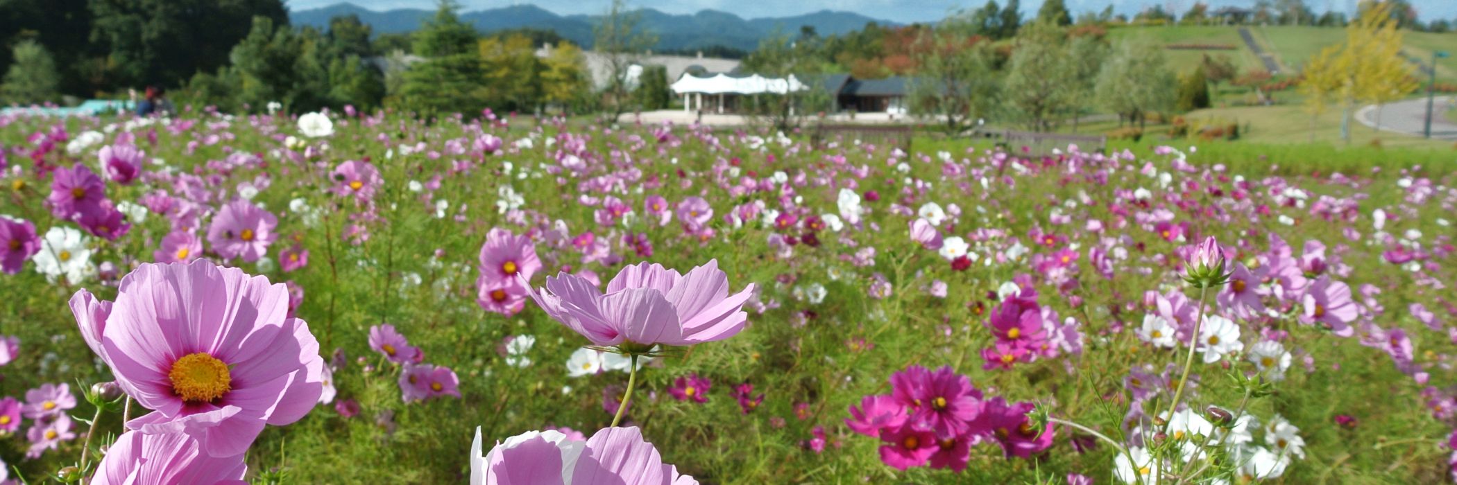 国営越後丘陵公園／長岡市