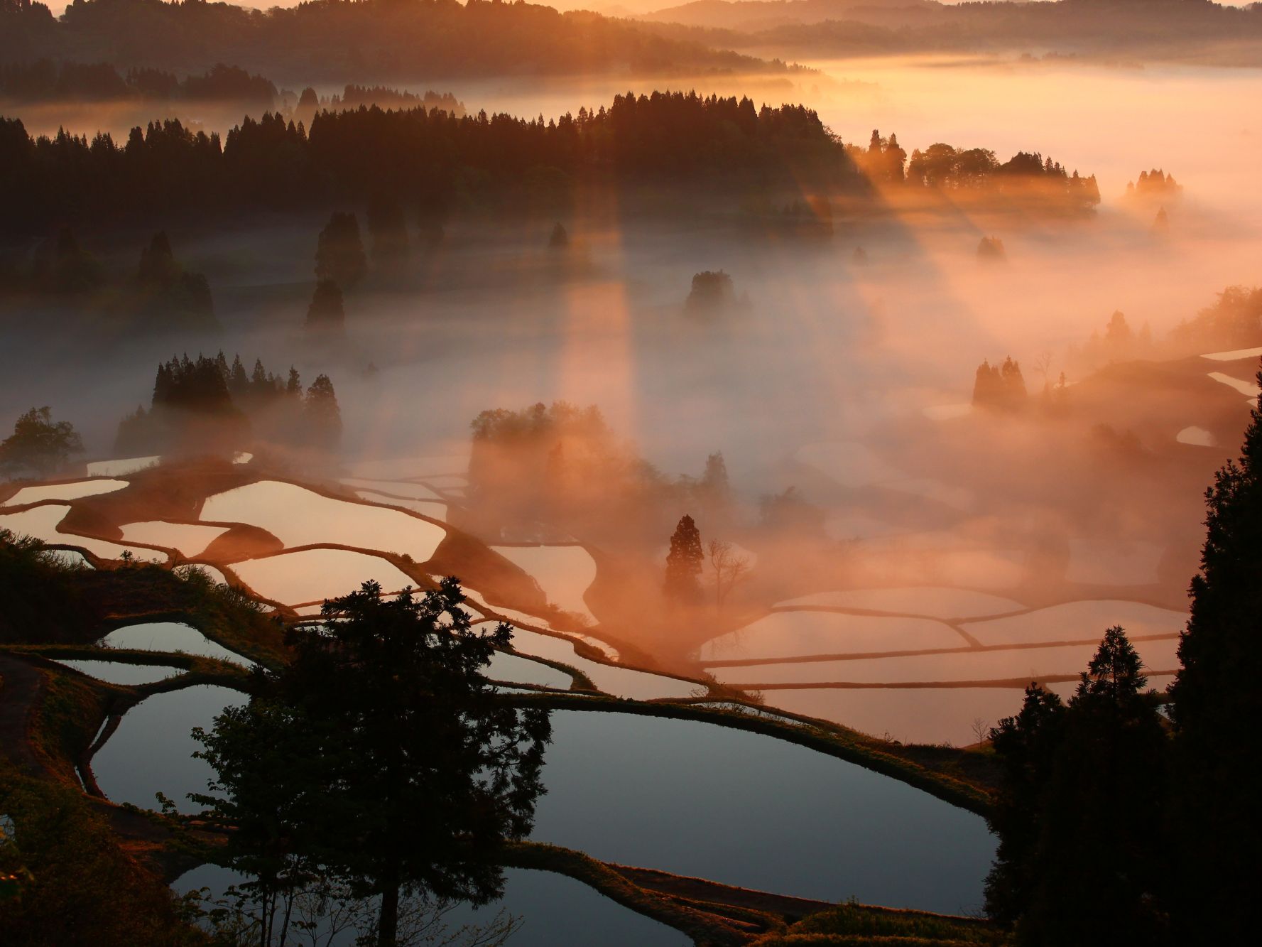 星峠の棚田／十日町市