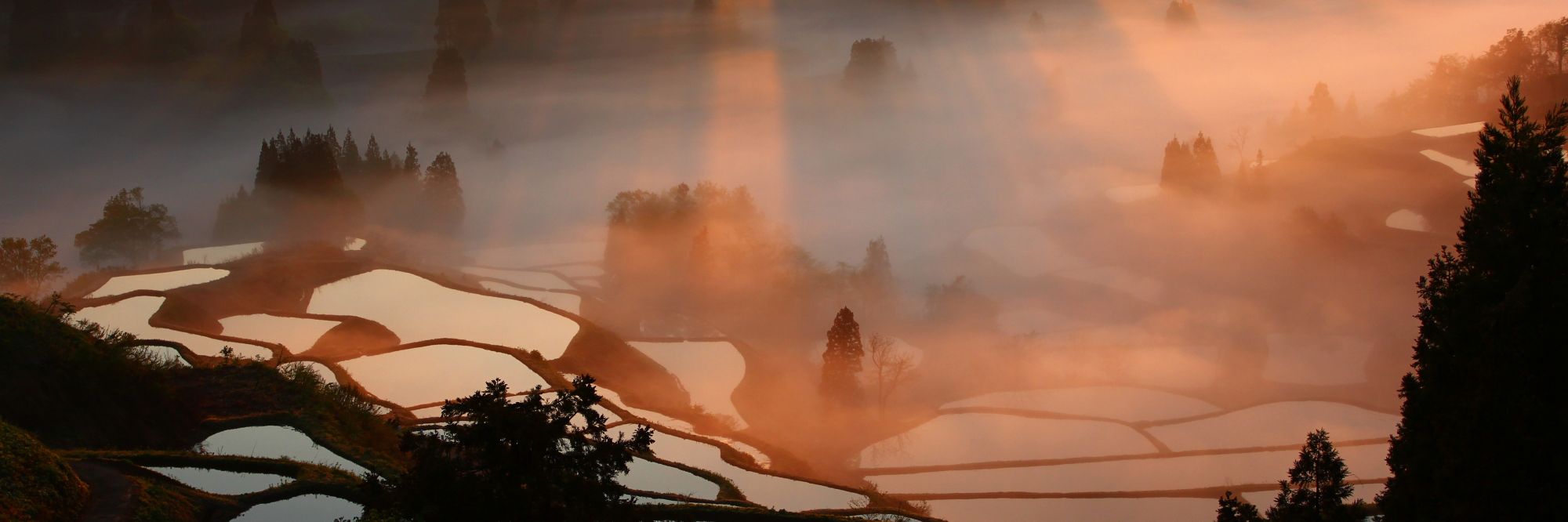 星峠の棚田／十日町市
