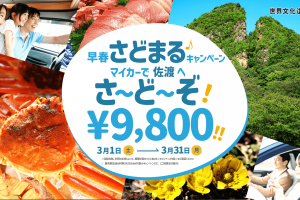 マイカーで佐渡へさ～ど～ぞ！車両往復費用9,800円！世界文化遺産の島、佐渡へお得に旅しよう！