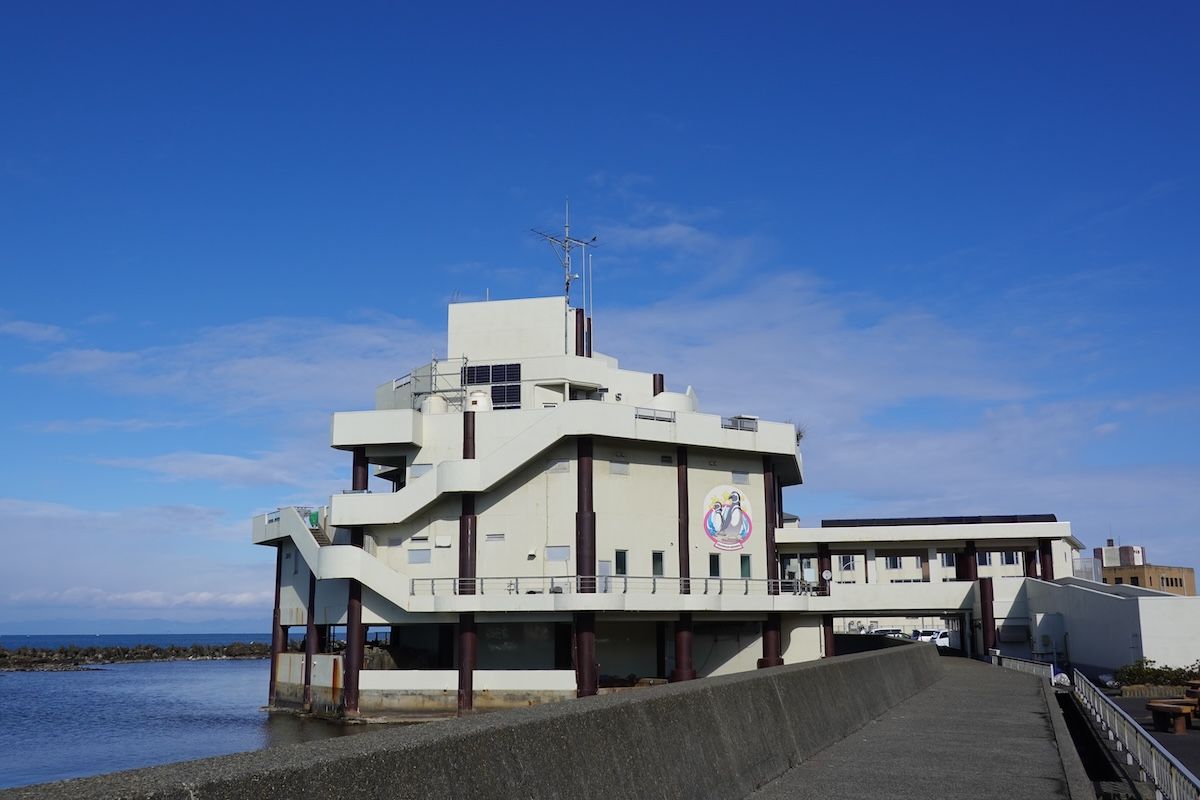 長岡市寺泊水族博物館 大人のバックヤードツアー／長岡市