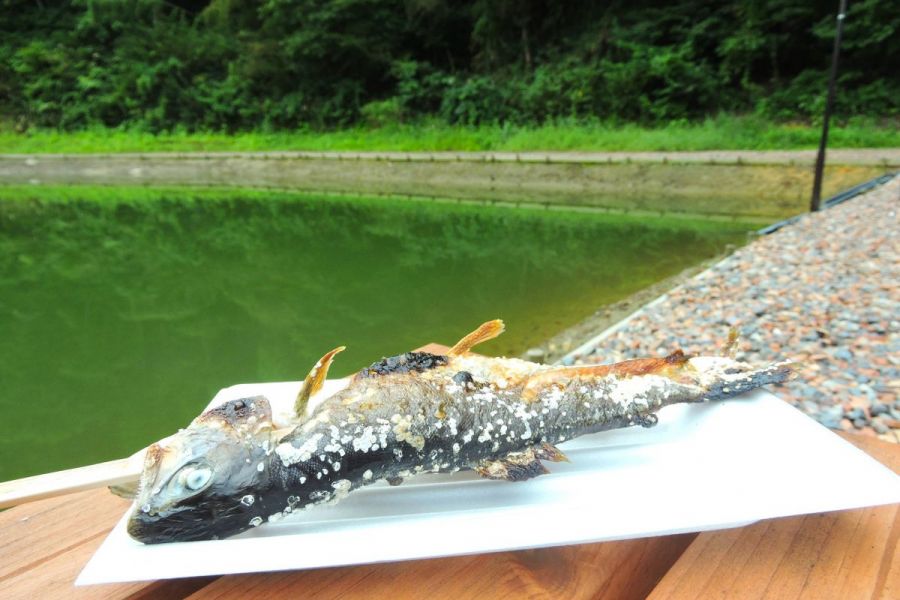 手ぶらで釣ってそのまま塩焼き！森の中の釣り堀「Gun Gun Fishing Field」／田上町