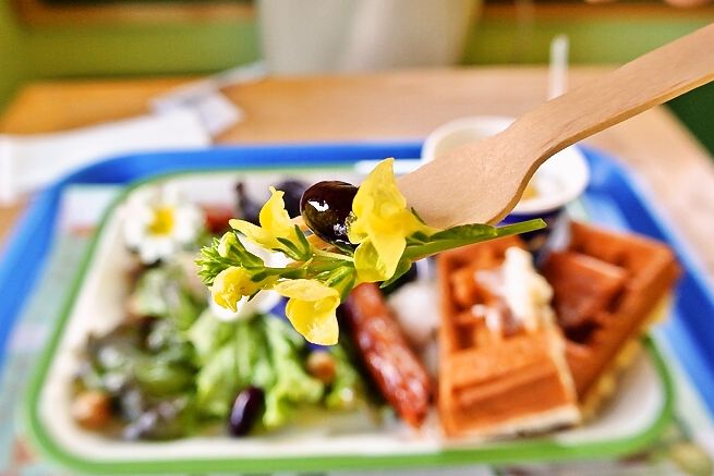 熊笹　エディブルフラワー　飾り葉 楽天市場】下田産 笹の葉 100枚 企画販売 難波 ささ ササ クマ笹 熊笹