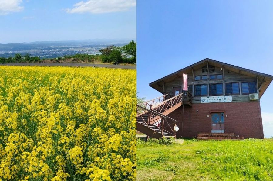 花あり美景ありの山本山高原へ！山頂にポツンとあるカフェでひと休み「やまもとやまCAFE本」／小千谷市
