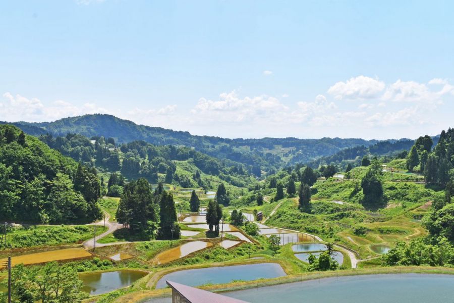 「にこにこひろば」で眺める絶景の棚田と「山古志ごっつぉ多菜田（たなだ）」で味わう地元お母さんたちの郷土料理／長岡市