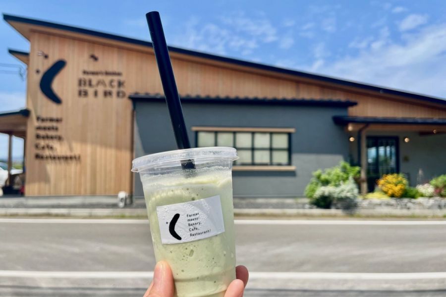 新潟･夏の風物詩「枝豆」や農業の魅力を発信する「Farmer’s kitchen BLACKBIRD」で、「おいしい」の背景に感動！／新潟市　