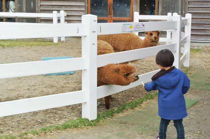 モフモフ最高！！動物ふれあいセンターに行ってみた／新潟市