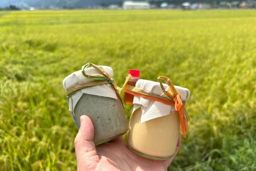 新潟土産のニューフェイス現る！コメ農家が本気で作った極上プリン「越後おこめぷりん」を黄金の田んぼを見ながら食べてみた！／南魚沼市