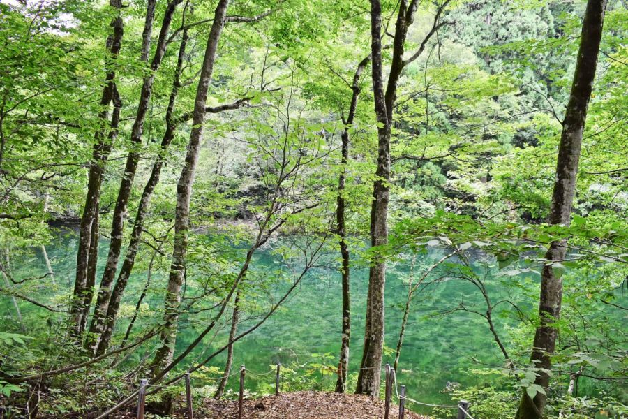 龍神伝説が残る神秘的な「龍ヶ窪」と、くつろぎの「むすびカフェ」／津南町