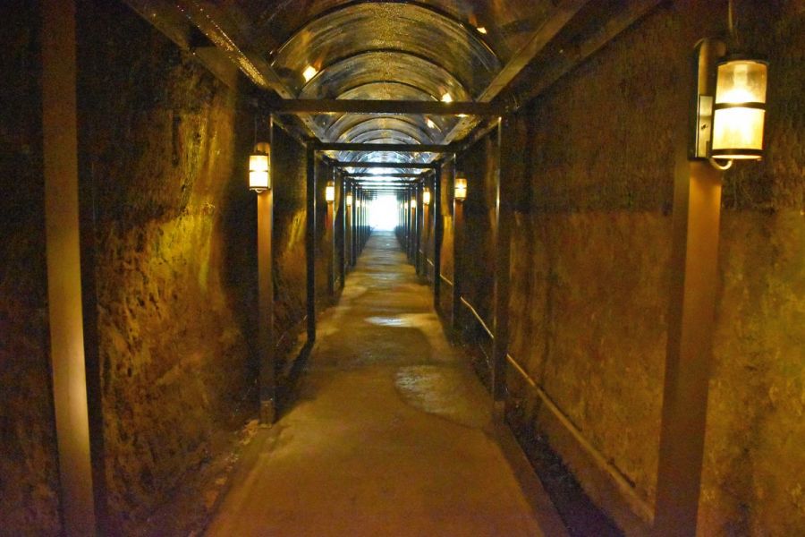 「手掘り中山隧道」でたどる村人の情熱と「えびすや」で味わう二八蕎麦／長岡市