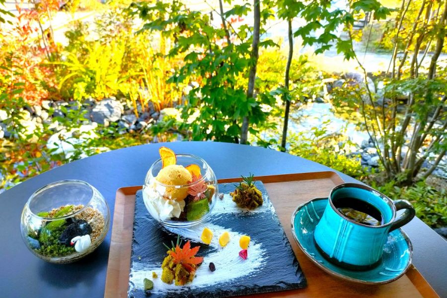 苔テラリウム作ってみよう！緑あふれる空間で「ごゆっくり」過ごすカフェ「5yukuri」／阿賀野市