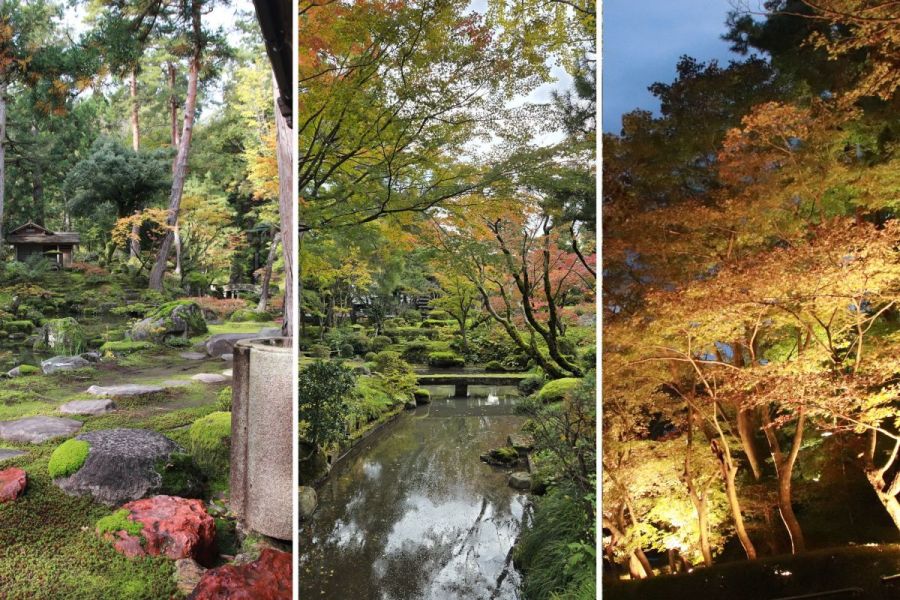 柏崎三大庭園紅葉めぐり｜朝・昼・夜で味わう静かな秋の旅／柏崎市