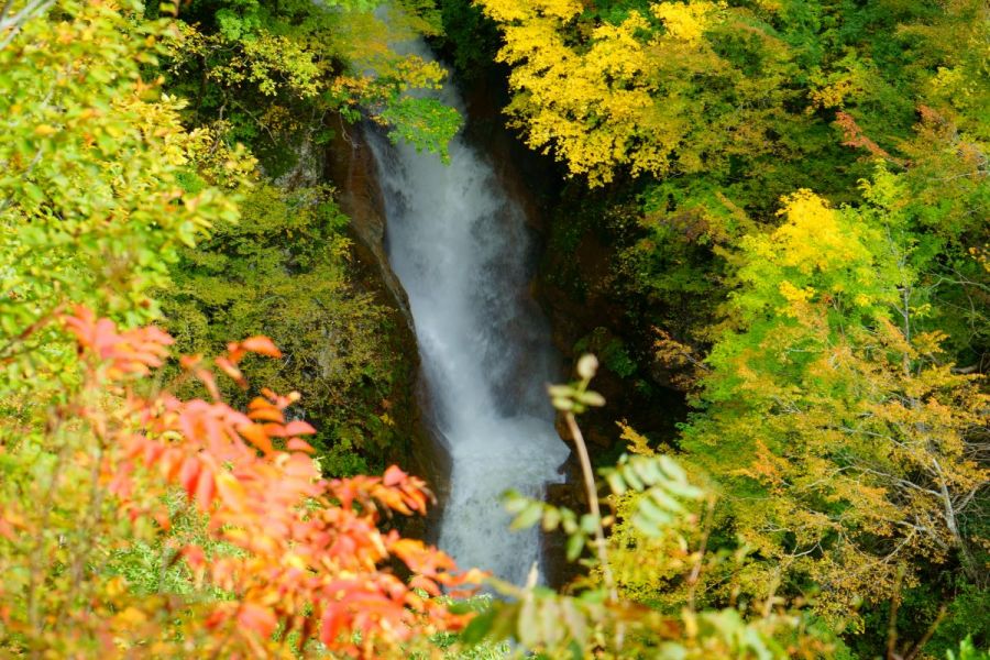 熊打ちが大蛇に出会った伝説の滝、蛇淵の滝に行ってみた！／津南町