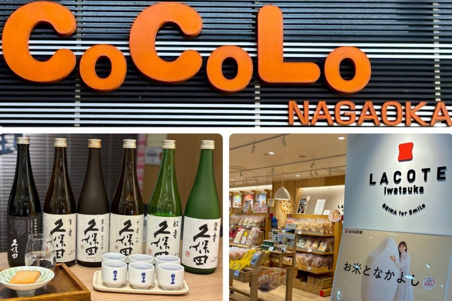 【心がはずむ駅ビル CoCoLo長岡】朝日酒造直営店・岩塚製菓グループアンテナショップお土産特集／長岡市