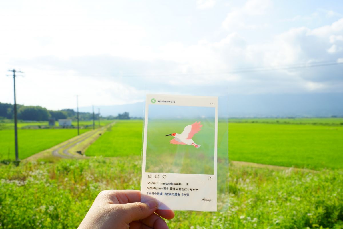 日帰り佐渡旅で素敵な５つのお店を巡ってみた！／佐渡市
