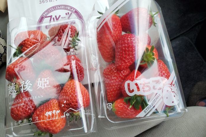 おうちでいちごを食べよう／新潟市