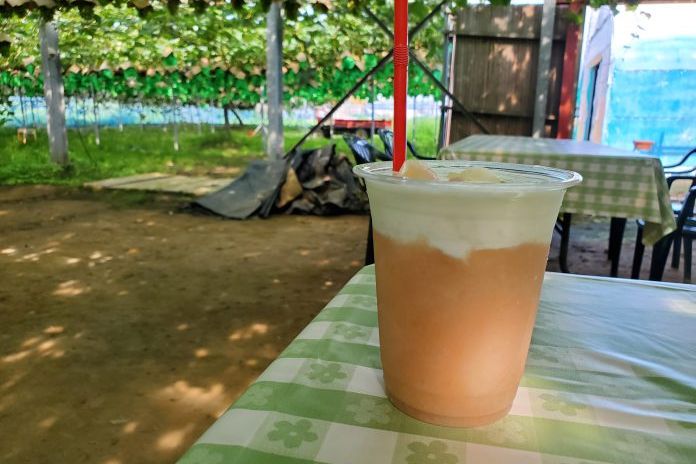 桃のかき氷を食べに行ったら売り切れだったので、スムージーを食べた話／新潟市