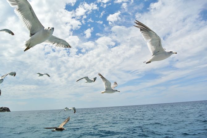 何度行ってもキレイ！海の透明度がハンパない笹川流れ／村上市