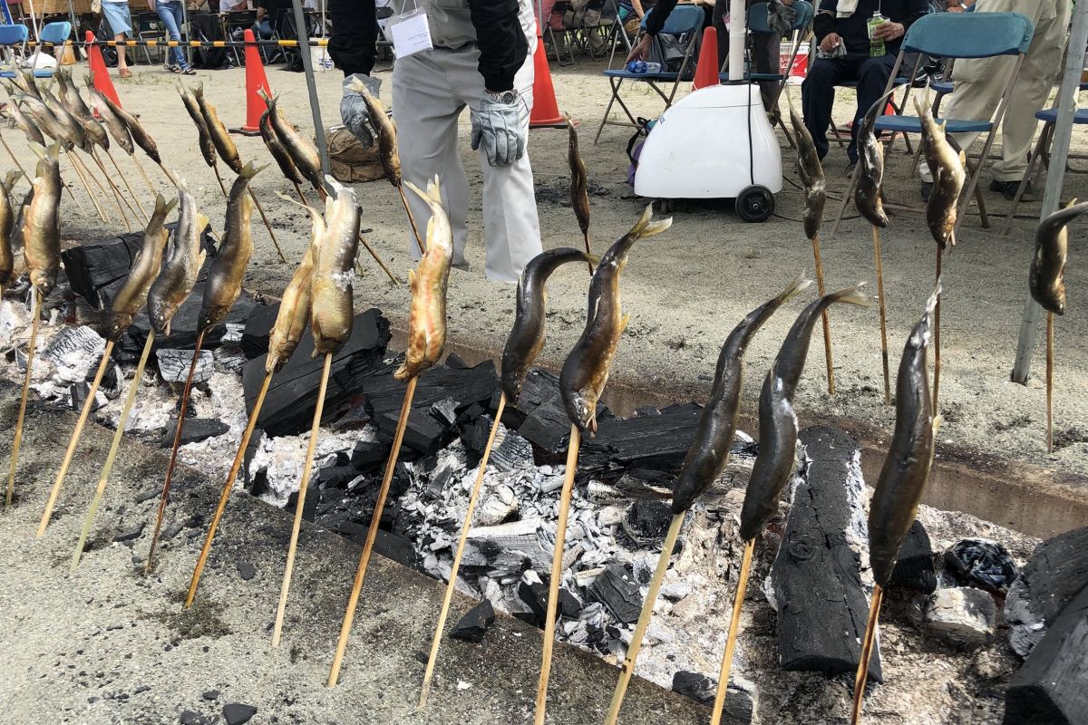 ”今が旬”鮎を豪快に炭火焼き！魚野川の「鮎まるかじり祭り」／南魚沼市