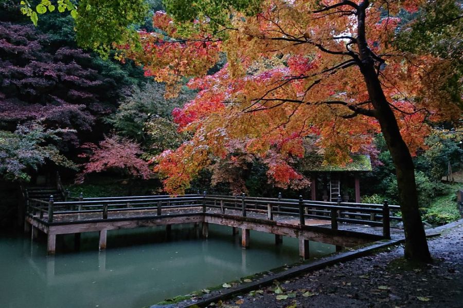 癒しの空間～加茂山公園～／加茂市