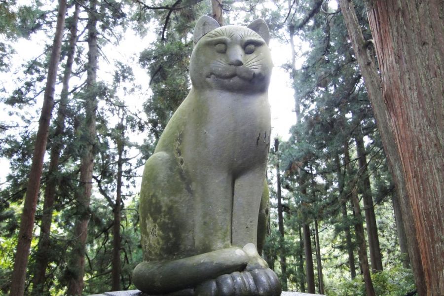 にゃんとも不思議！！狛犬ならぬ狛猫がある神社「南部神社」に行ってみた／長岡市