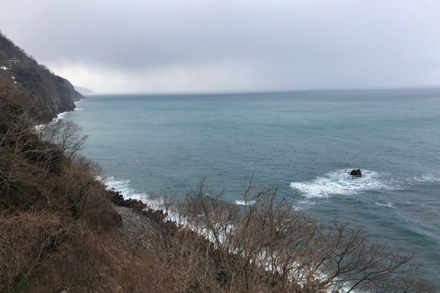 日本一！？親不知「幻のもずく」をもとめて／糸魚川市