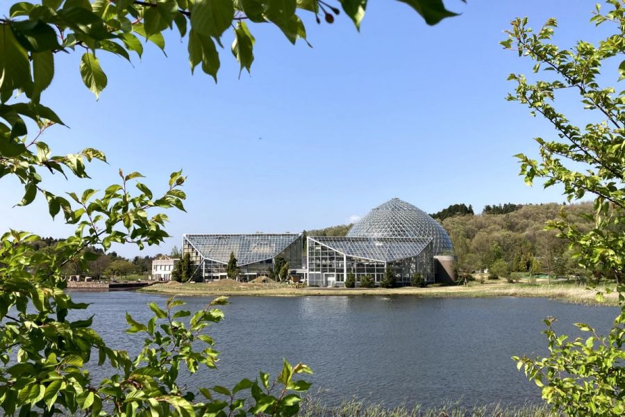 春の花散歩 秋葉区の「新潟県立植物園」へ行ってみよう／新潟市