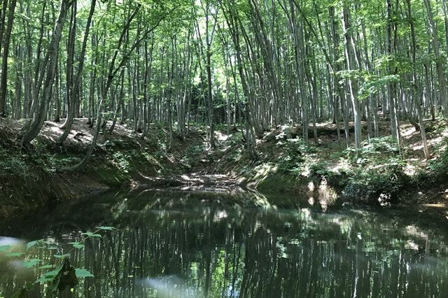 美人林と森の学校キョロロと松之山温泉／十日町市