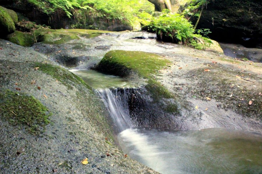 まるで日本画の世界？おすすめ清涼スポット「荒川剣龍峡」／新発田市