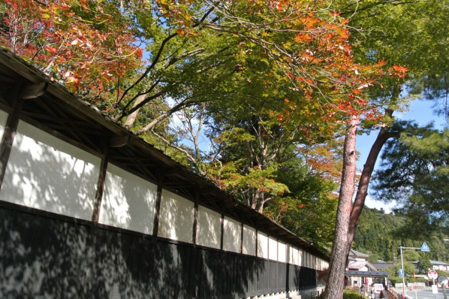 石油の里と中野邸記念館のもみじは色づき始め！／新潟市