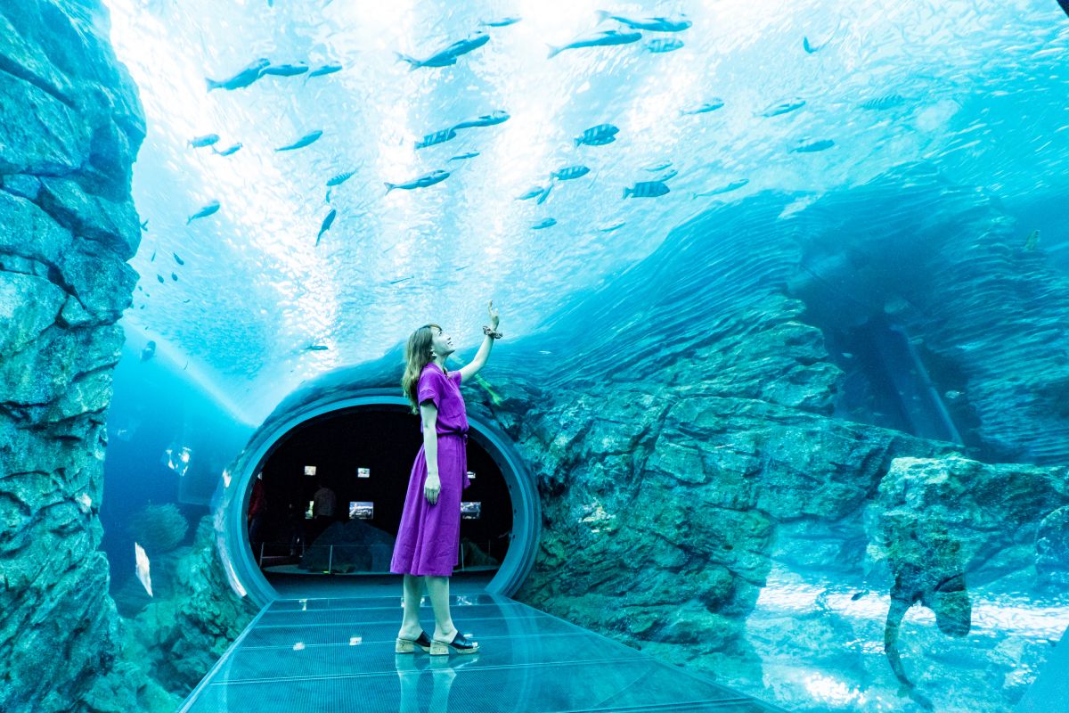 話題の「上越市立水族館 うみがたり」で癒されてきました！！／上越市