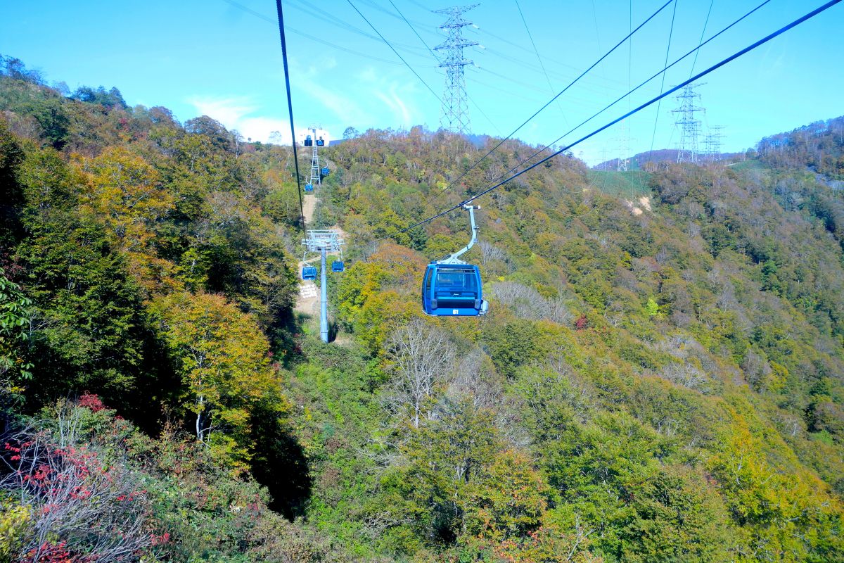 紅葉の苗場ドラゴンドラに乗ってきました。子どもが楽しめるポイントも！／湯沢町