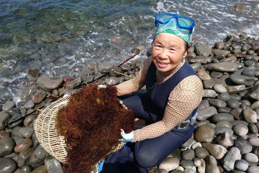 『笠島』を召し上がれ！／柏崎市