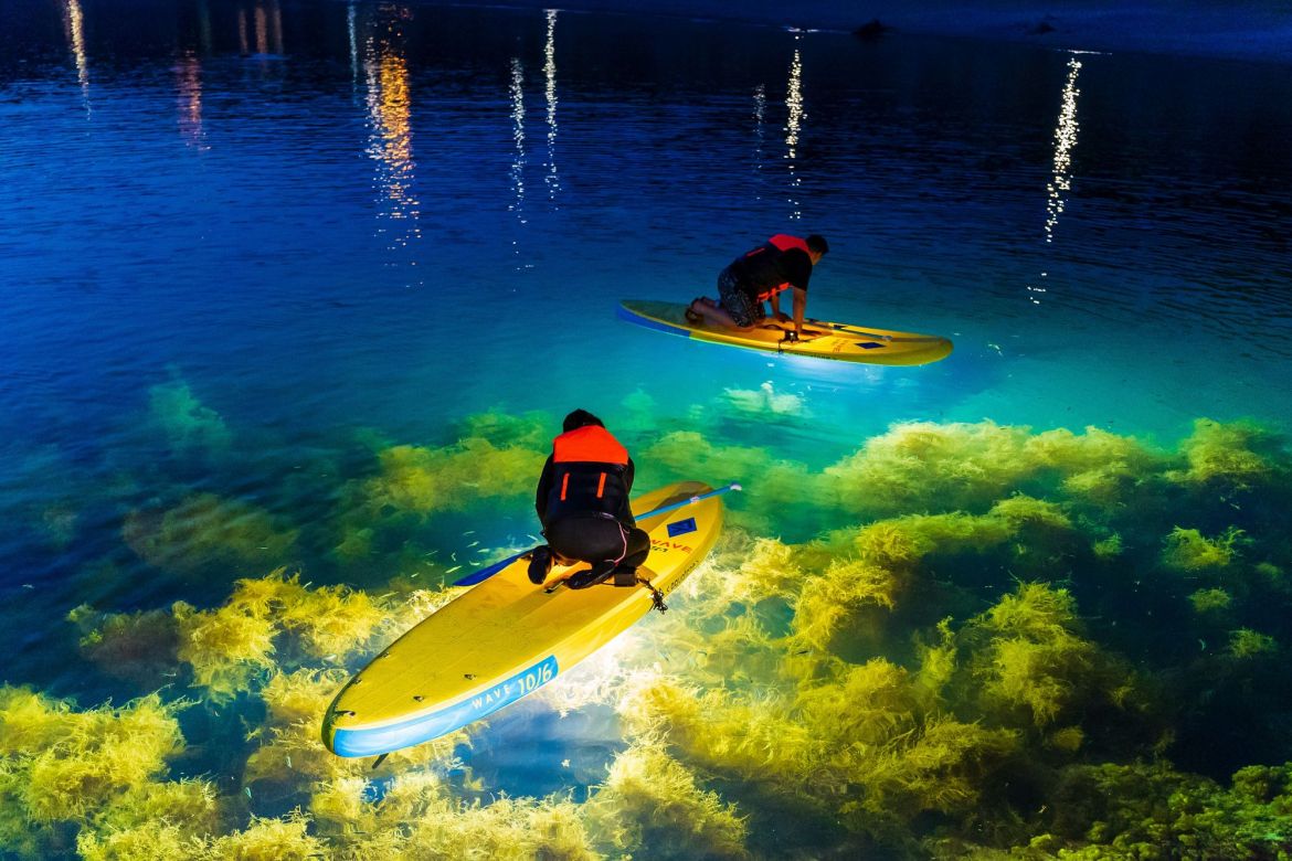 【夏の佐渡で遊ぼう！夜編】達者の海でナイトシーカヤック&SUP ドンデン高原でビストロディナー＆夜景 プレミアムな一夜を／佐渡市