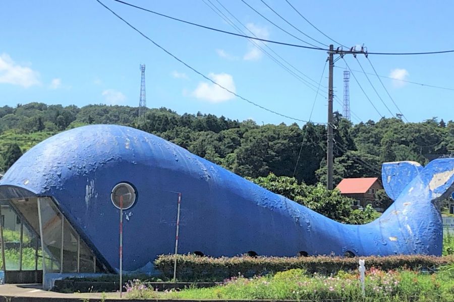 夏景色と魅力あふれるスポットに出会うプチ旅　パート２（海沿い～山間部編）／柏崎市