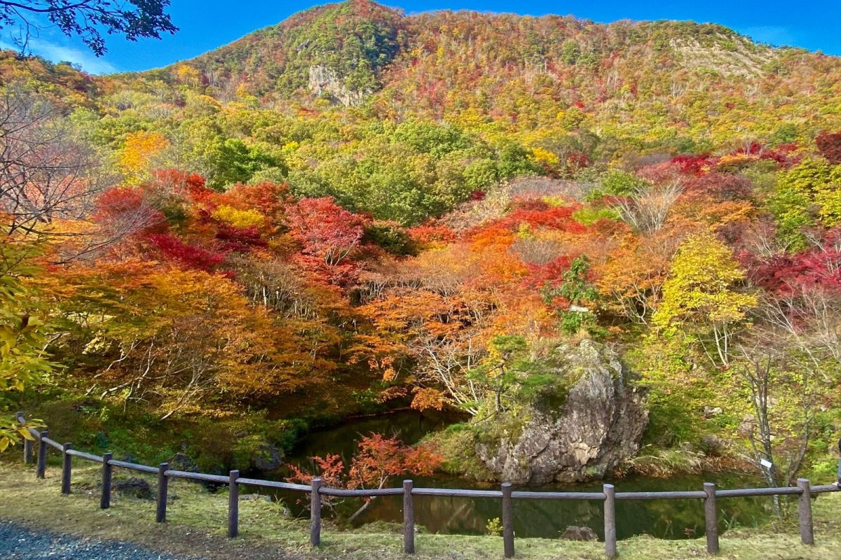 【最新情報追加】今年は紅葉の当たり年!? 周辺グルメスポットも 佐渡の紅葉 見どころMAP／佐渡市