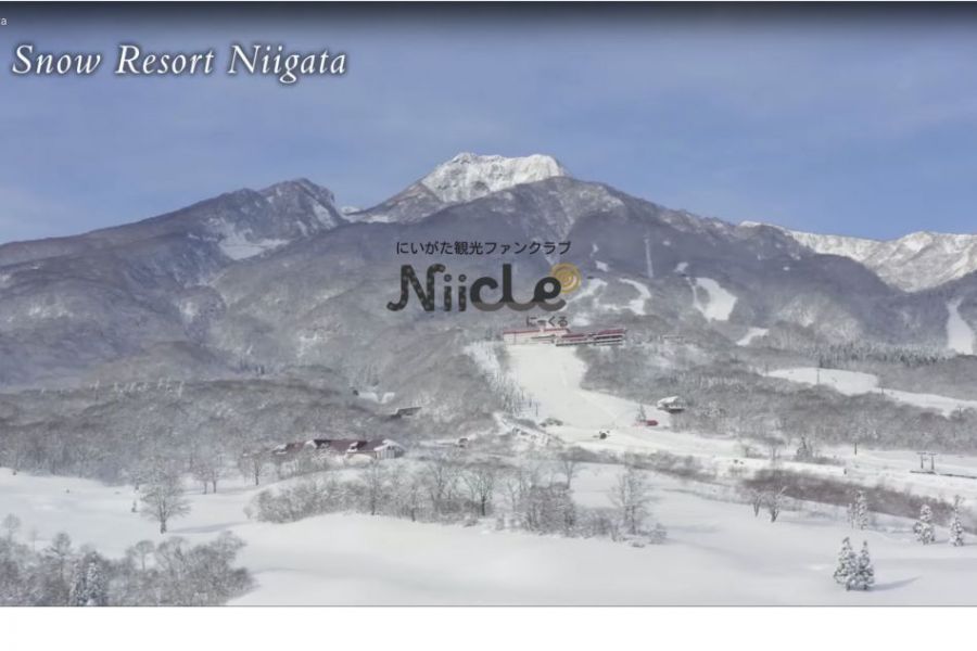 Niicleの使い方／新発田市・村上市