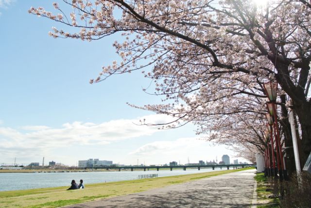 信濃川やすらぎ堤緑地