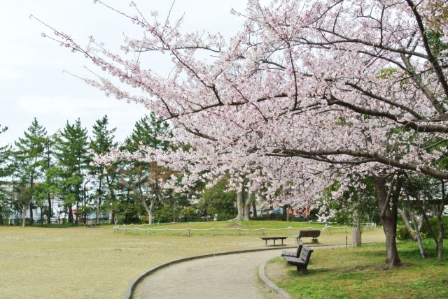 鳥屋野潟公園 鐘木地区