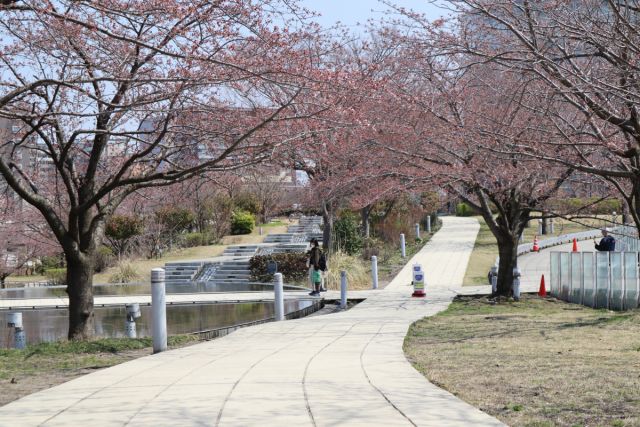 白山公園「空中庭園」