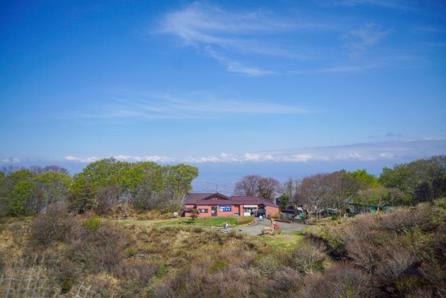 弥彦山頂公園