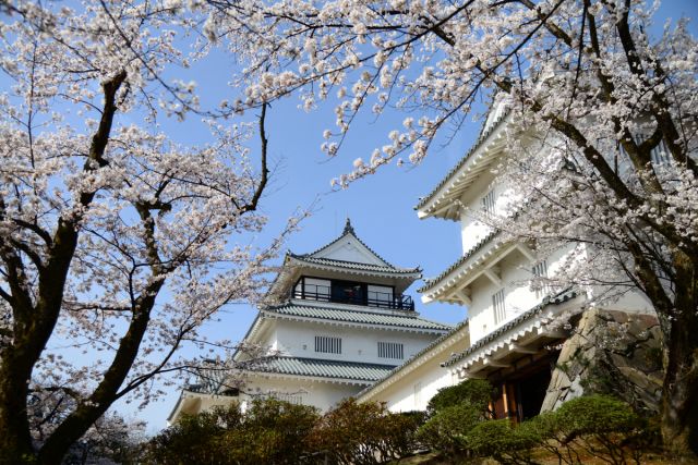 悠久山公園