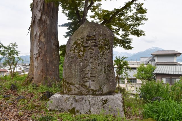 別当　吉祥山　普光寺