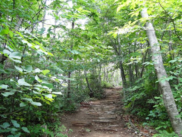 国上山・国上寺脇登山口