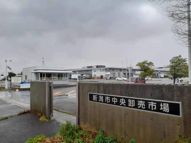 新潟市中央卸売市場