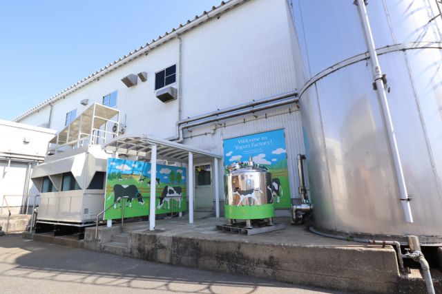 ヤスダヨーグルト工場見学