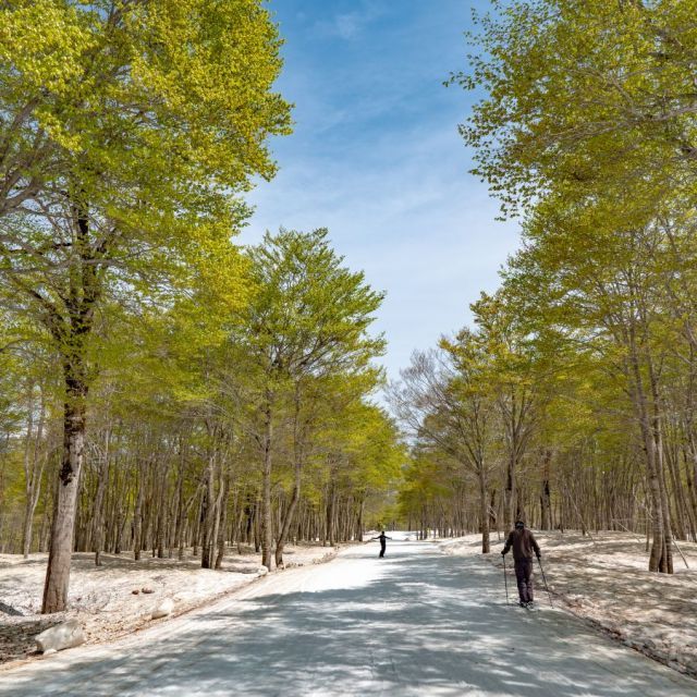 奥只見丸山スキー場