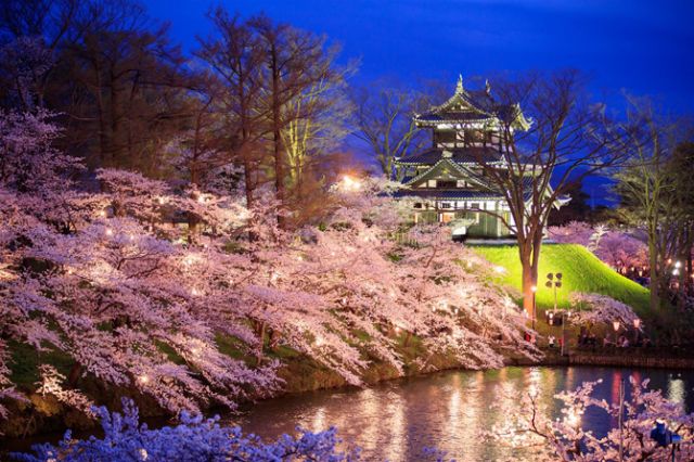 高田城址公園観桜会