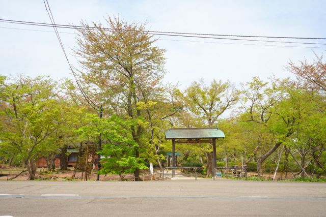 もみじ園